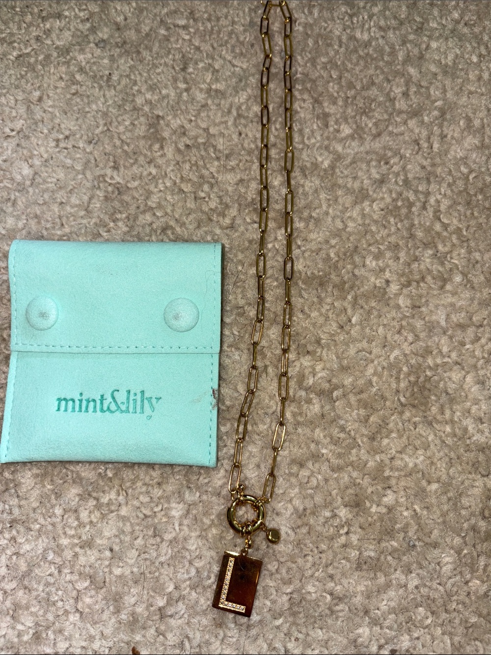 Mint & Lily Gold Paperclip Necklace with Rectangular Pendant - Gold